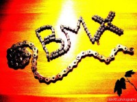 /album/fotogaleria/a1257249365606-f-jpg/